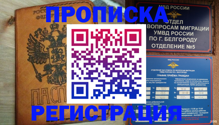 прописка для работы в Звенигово